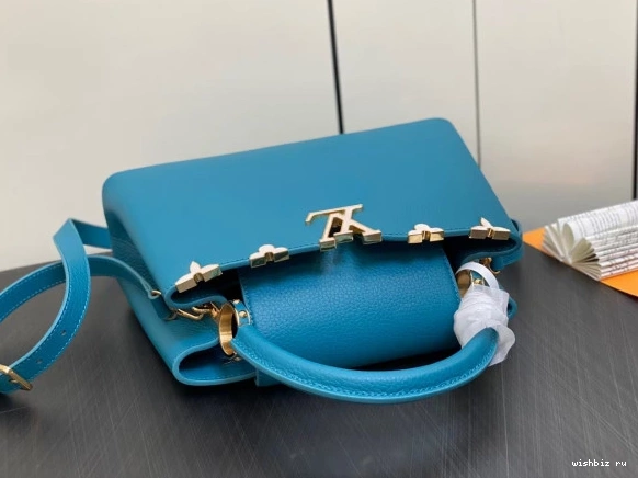 WIS VUITTON CAPUCINES MM LOUIS 0813